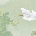 Flying Cranes Green Sight Wall Mural Wallpaper